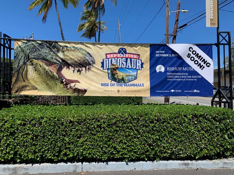 Bishop Museum street banner for the Expedition: Dinosaur exhibit, with a full-color T. rex