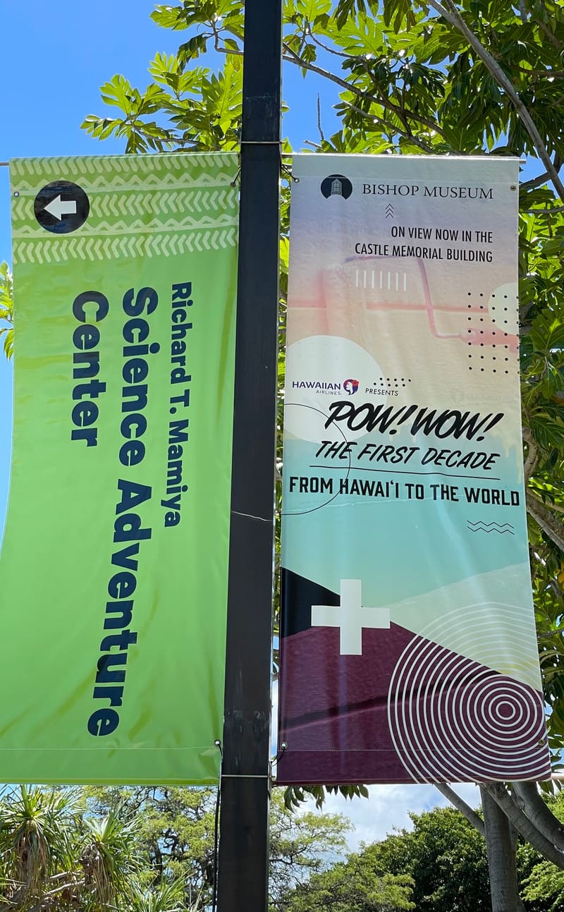 Bishop Museum pole banner for the POW! WOW! The First Decade exhibit