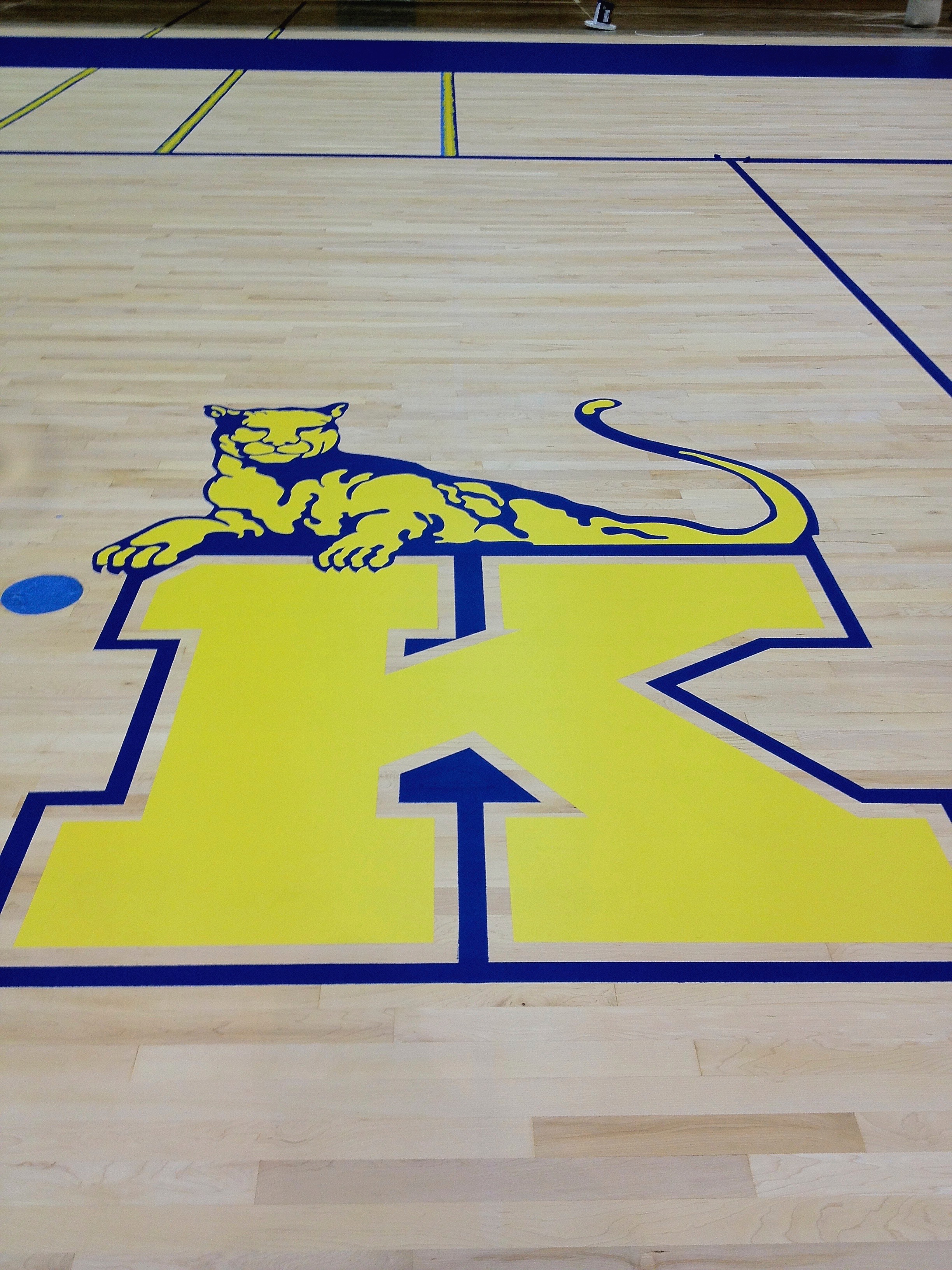 painted gym floor image