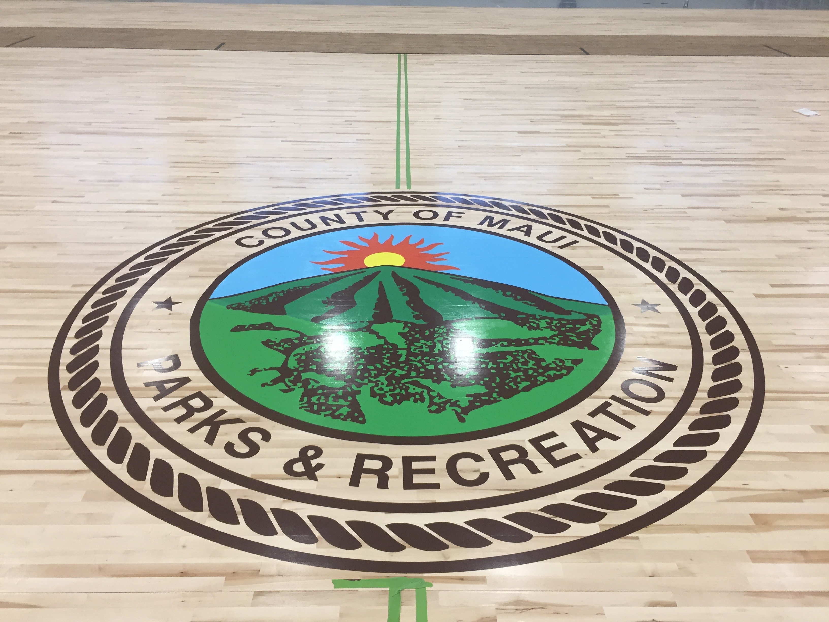 painted gym floor image