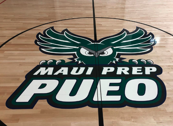 painted gym floor image