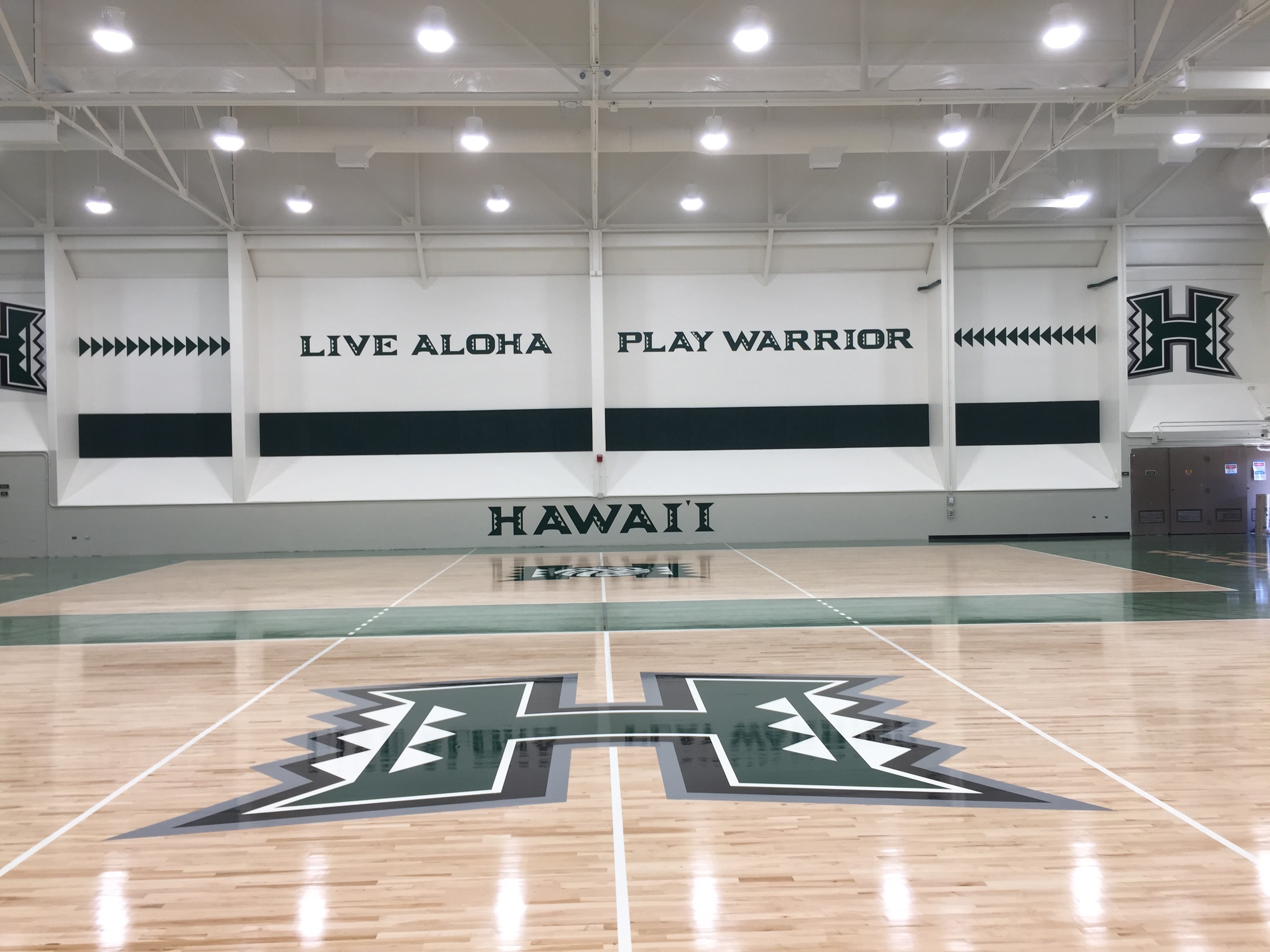 painted gym floor image